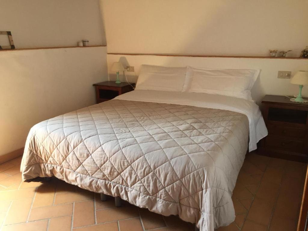 סנטו סטפאנו די ססאניו Le Siepi Country House מראה חיצוני תמונה